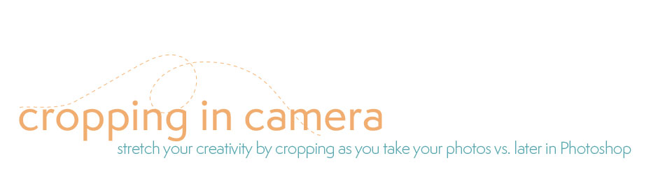 Crop In Camera Photography