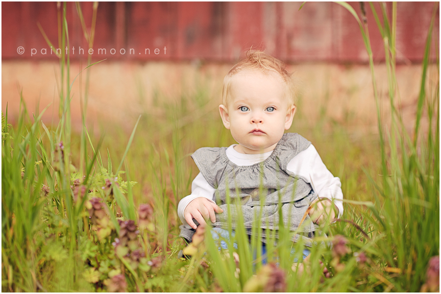 Photoshop Actions Baby Photography