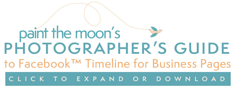 Facebook Business Timeline Cover Templates Free Photoshop Actions Paint the Moon