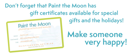 Paint the Moon Photoshop Actions Gift Cards Holidays